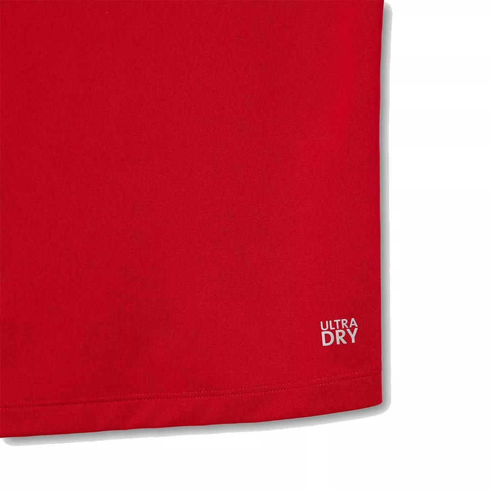 copy ofPolo Lacoste Tennis Novak Djokovic Player Blu