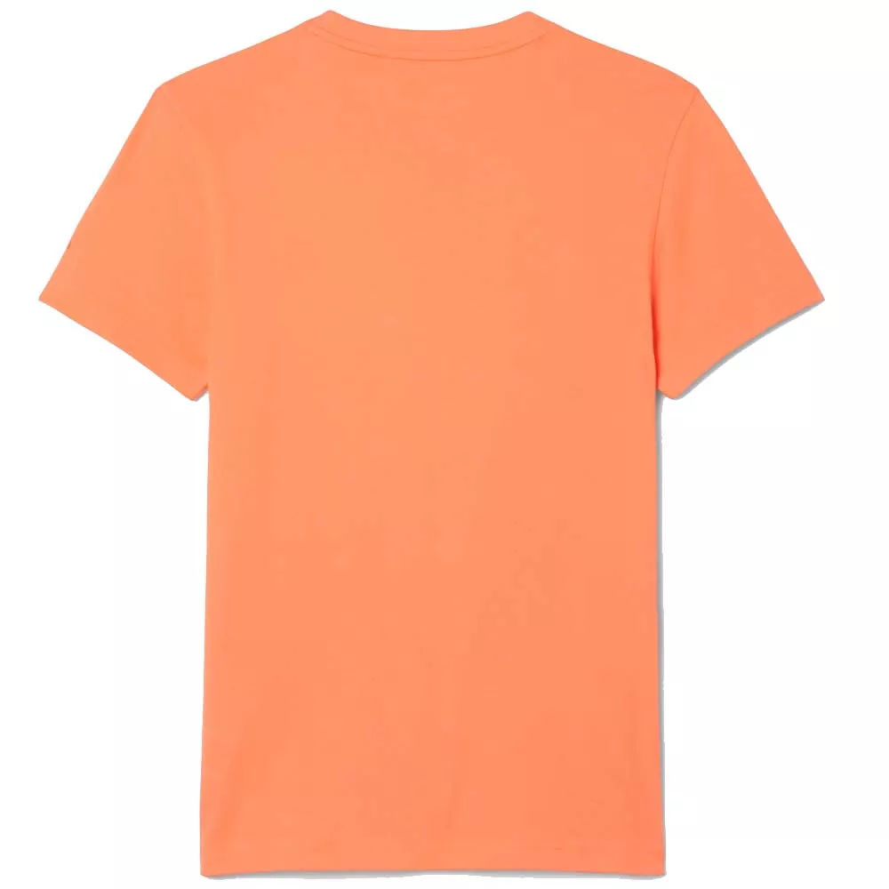 Pack T-Shirt + Cappellino Lacoste Tennis x Novak Djokovic Bianco